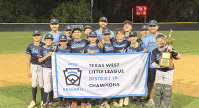 Little League Baseball Champions - Bulverde LL